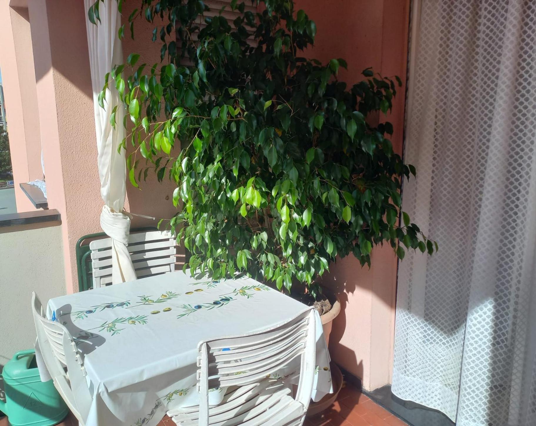 Cinque Terre & Portofino Apartment In Σέστρι Λεβάντε Εξωτερικό φωτογραφία